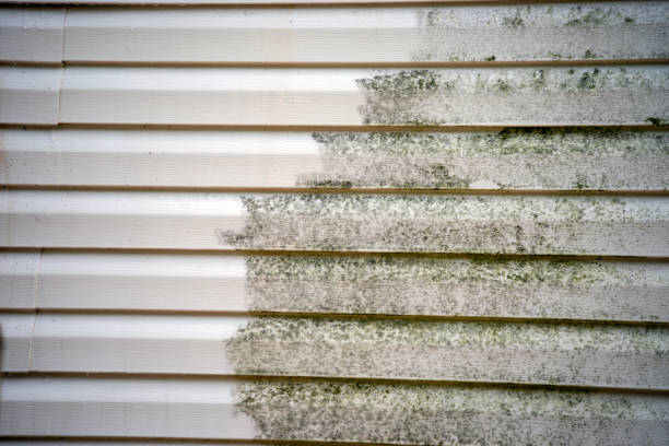 Best Attic Cleanout  in Horatio, AR